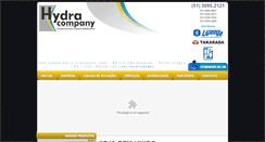 Desktop Screenshot of hydracompany.com.br